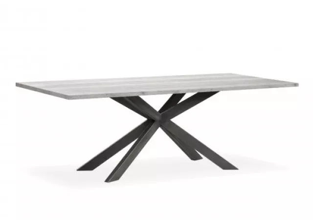 Shape tafel rechthoekig lamulux (220x100 cm)