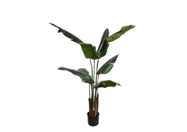 TRAVELLERS PALM GREEN 150CM