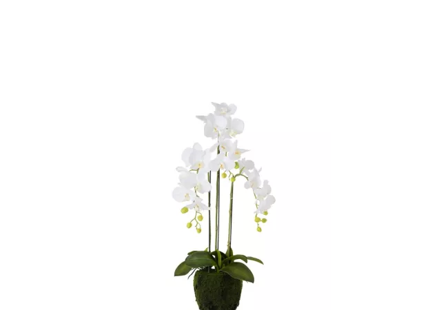 Orchidee wit (26x24x78cm) J-Line 93451