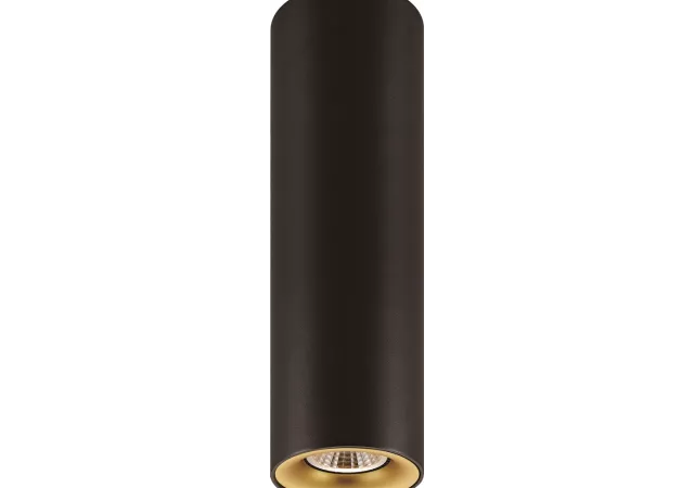 Plafondlamp zwart H=250mm