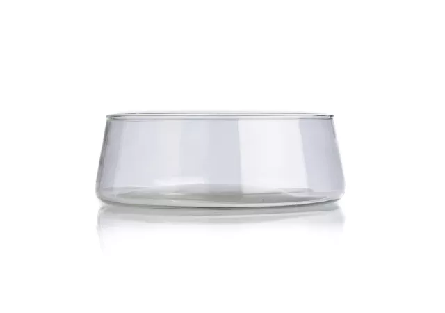 HOST BOWL CLEAR LARGE