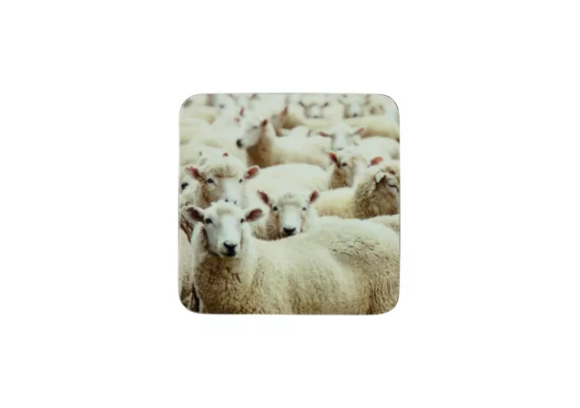 Onderzetter schapen